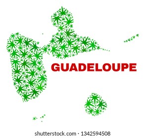Vector cannabis Guadeloupe map mosaic. Template with green weed leaves for hemp legalize campaign. Vector Guadeloupe map is designed with weed leaves.