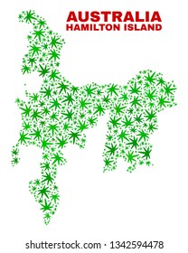 Vector cannabis Hamilton Island map collage. Template with green weed leaves for weed legalize campaign. Vector Hamilton Island map is formed with cannabis leaves.
