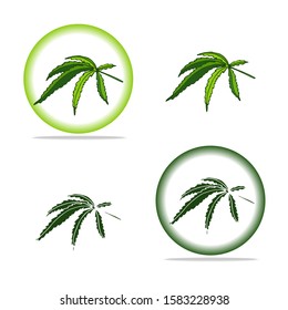 Vector cannabis icon. Green cannabis leaf logo isolated on white. Medical marijuana leaf with green circle and shadows under it. Cartoon flat style