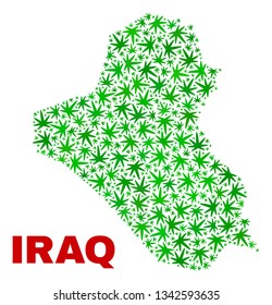Vector cannabis Iraq map mosaic. Concept with green weed leaves for weed legalize campaign. Vector Iraq map is composed with cannabis leaves.