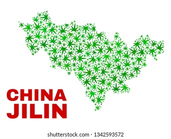 Vector cannabis Jilin Province map collage. Concept with green weed leaves for weed legalize campaign. Vector Jilin Province map is organized with marijuana leaves.
