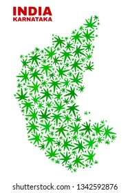 Vector cannabis Karnataka State map collage. Concept with green weed leaves for cannabis legalize campaign. Vector Karnataka State map is formed with cannabis leaves.
