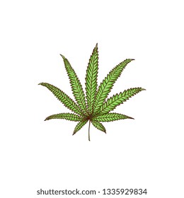 Vector cannabis leaf sketch icon. Green hemp plant, ligalized smoking drug symbol, marijuana herb, can be used in medical design. Isolated illustration