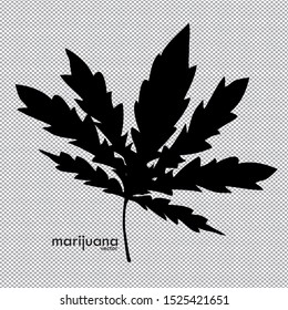 Vector of Cannabis leaves can be used as a marijuana leaf logo, Marijuana leaf silhouette illustration.