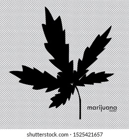 Vector of Cannabis leaves can be used as a marijuana leaf logo, Marijuana leaf silhouette illustration.
