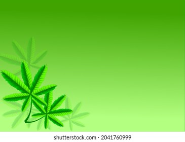 Vector of  cannabis leaves on soft green background  for nature background, backdrop,  wallpaper