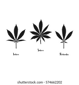 Vector cannabis leaves set - black plant isolated on white, medical and farm marijuana silhouettes.