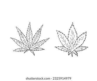 Vektor-Cannabis-Leaves-Set. Indica- und Sativa-Blätter. Kräuterblattsymbol von Cannabis. Vektordesign-Illustration
