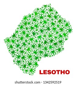 Vector cannabis Lesotho map collage. Template with green weed leaves for weed legalize campaign. Vector Lesotho map is composed with cannabis leaves.