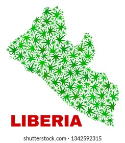 Vector cannabis Liberia map collage. Concept with green weed leaves for weed legalize campaign. Vector Liberia map is created with herbal leaves.