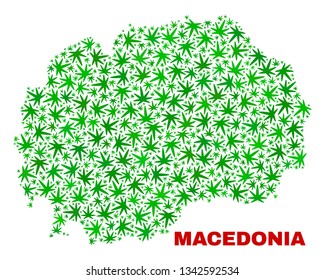 Vector cannabis Macedonia map mosaic. Concept with green weed leaves for weed legalize campaign. Vector Macedonia map is designed with ganja leaves.