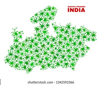 Vector cannabis Madhya Pradesh State map collage. Concept with green weed leaves for weed legalize campaign. Vector Madhya Pradesh State map is created with cannabis leaves.