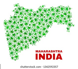 Vector cannabis Maharashtra State map collage. Concept with green weed leaves for cannabis legalize campaign. Vector Maharashtra State map is organized with cannabis leaves.