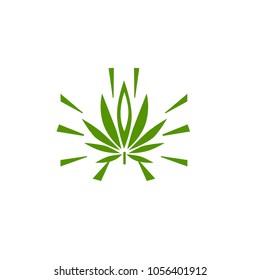 vector cannabis or marijuana icon logo for medical or pharmacy industry