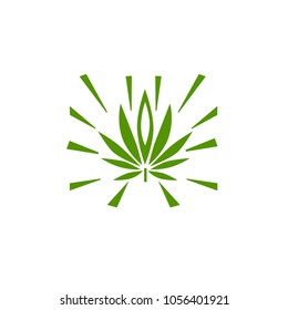 vector cannabis or marijuana icon logo for medical or pharmacy industry