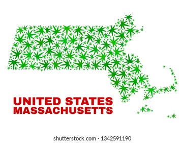 Vector cannabis Massachusetts State map mosaic. Concept with green weed leaves for weed legalize campaign. Vector Massachusetts State map is constructed with weed leaves.