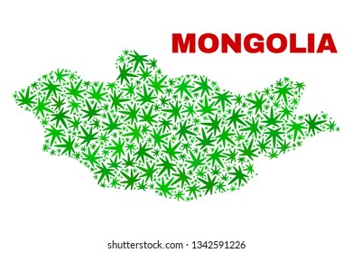 Vector cannabis Mongolia map collage. Concept with green weed leaves for cannabis legalize campaign. Vector Mongolia map is designed with ganja leaves.