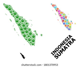 Vector cannabis mosaic and solid map of Sumatra Island. Map of Sumatra Island vector mosaic for cannabis legalize campaign. Map of Sumatra Island is designed from green and colorful cannabis leaves.