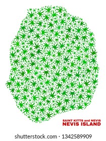 Vector cannabis Nevis Island map collage. Concept with green weed leaves for cannabis legalize campaign. Vector Nevis Island map is formed with weed leaves.