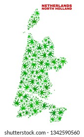 Vector cannabis North Holland map collage. Concept with green weed leaves for cannabis legalize campaign. Vector North Holland map is constructed with weed leaves.