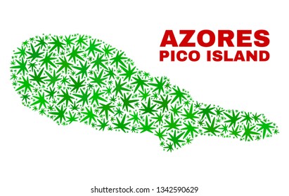 Vector cannabis Pico Island map collage. Template with green weed leaves for cannabis legalize campaign. Vector Pico Island map is created with weed leaves.
