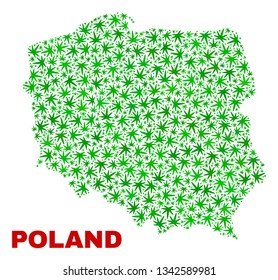 Vector cannabis Poland map collage. Concept with green weed leaves for weed legalize campaign. Vector Poland map is designed with weed leaves.