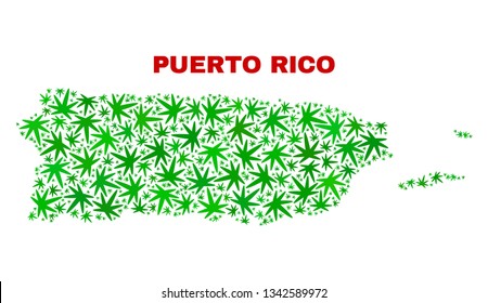 Vector cannabis Puerto Rico map mosaic. Concept with green weed leaves for cannabis legalize campaign. Vector Puerto Rico map is formed with weed leaves.
