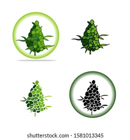 Vector cannabis seed icons set. Green cannabis leaves logo isolated on white. Medical marijuana leaves in green circle and shadows. Cartoon flat style