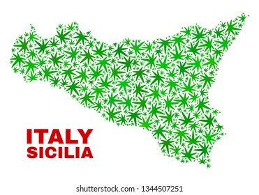 Vector cannabis Sicilia map collage. Template with green weed leaves for weed legalize campaign. Vector Sicilia map is formed with weed leaves.