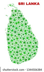 Vector cannabis Sri Lanka map collage. Template with green weed leaves for weed legalize campaign. Vector Sri Lanka map is formed from cannabis leaves.