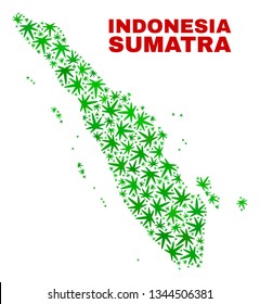 Vector cannabis Sumatra map mosaic. Template with green weed leaves for cannabis legalize campaign. Vector Sumatra map is designed with weed leaves.