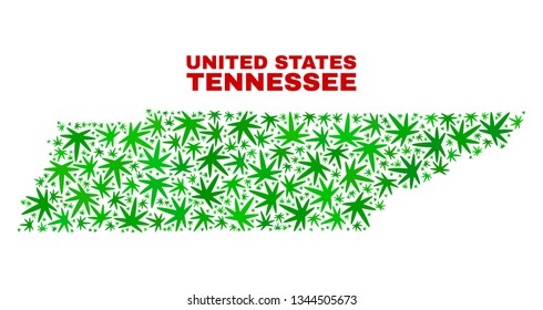 Vector cannabis Tennessee State map mosaic. Template with green weed leaves for cannabis legalize campaign. Vector Tennessee State map is composed from weed leaves.
