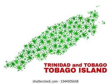 Vector cannabis Tobago Island map mosaic. Template with green weed leaves for cannabis legalize campaign. Vector Tobago Island map is created with cannabis leaves.