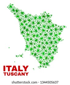 Vector cannabis Tuscany region map mosaic. Concept with green weed leaves for cannabis legalize campaign. Vector Tuscany region map is designed with herbal leaves.