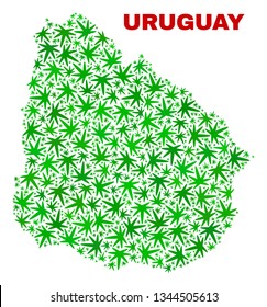 Vector cannabis Uruguay map collage. Concept with green weed leaves for weed legalize campaign. Vector Uruguay map is designed from ganja leaves.