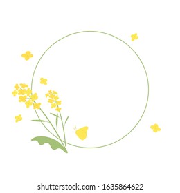 Vector canola flowers background illustration on white