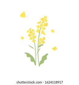 4 024 菜の花 イラスト Images Stock Photos Vectors Shutterstock