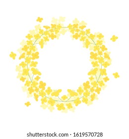 Vector canola flowers wreath frame illustration on white