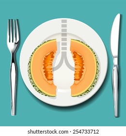 Vector Of Cantaloupe Is Best Food For Your Lungs. Smart Food Choices May Help You Breathe Easier If You Have Asthma.