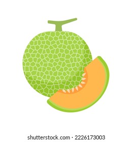 Vector cantaloupe. Juicy orange fleshy fruit. sliced ​​cantaloupe fruit