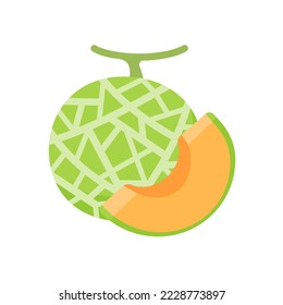 Vector cantaloupe. Juicy orange fleshy fruit. sliced ​​cantaloupe fruit