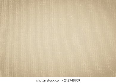 Vector Canvas Texture