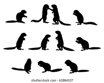 vector cape ground squirrel silhouettes (Xerus inauris) on white background