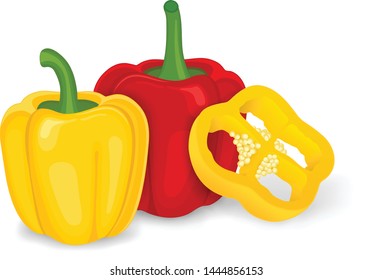 Vector Capsicum Bell Pepper Illustration On White Background