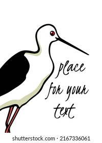 Vector car with hand drawn cute black-winged stilt portrait. Beautiful animal design elements, ink drawing