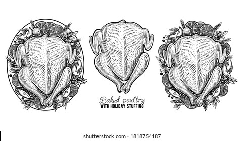 Vector carcass of chicken or turkey, hand drawn baked poultry. Engraving vintage food.