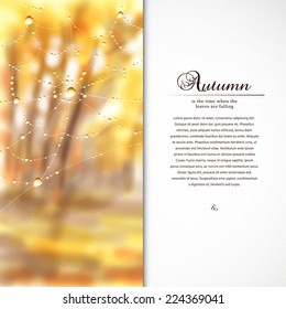 Vector card. Autumn composition with spider web and drops of dew or rain. Blurred misty background. Place for your text.