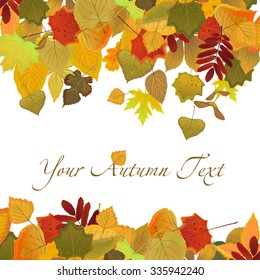 vector card with autumn leaves