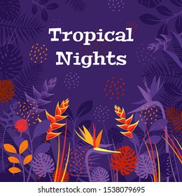 Vector card, banner, poster with copy space and tropical exotic plants and flowers: monstera, Heliconia, strelitzia, palm leaves. Night tropical jungle, bird of paradise.  Purple, orange, red colors.