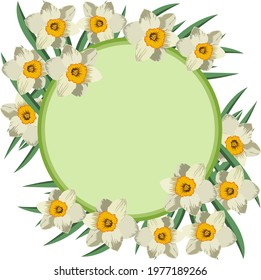 Vector card with a blank space for text, daffodil flowers on a round green background